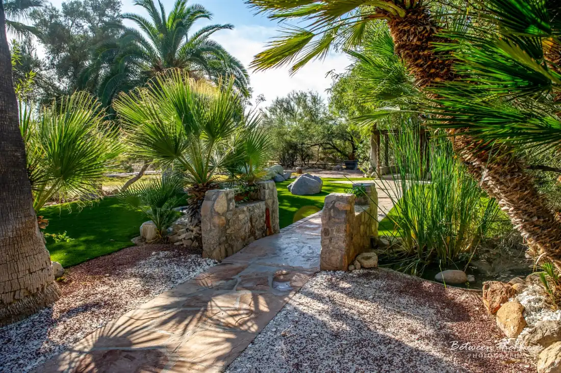 Lush desert garden pathway at Oasis at Wild Horse Ranch, outdoor wedding venue in Tucson Arizona